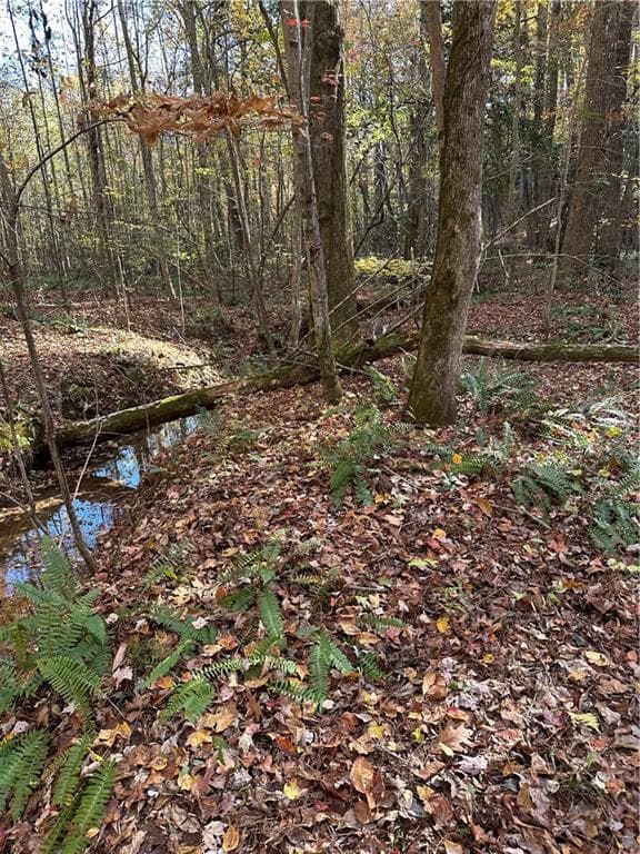 unimproved land for sale at 39 Planters Creek Drive, Baldwin, GA 30511 — photo 3