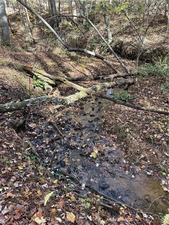 unimproved land for sale at 39 Planters Creek Drive, Baldwin, GA 30511 — photo 4