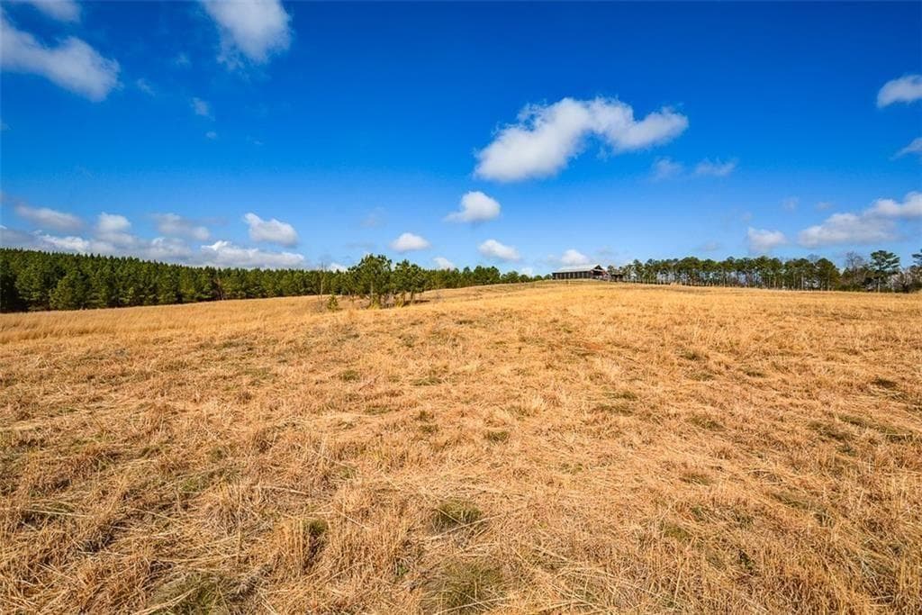 3 bathroom unimproved land for sale at 119 Inland 15 acres Drive, Talking Rock, GA 30175 — photo 3