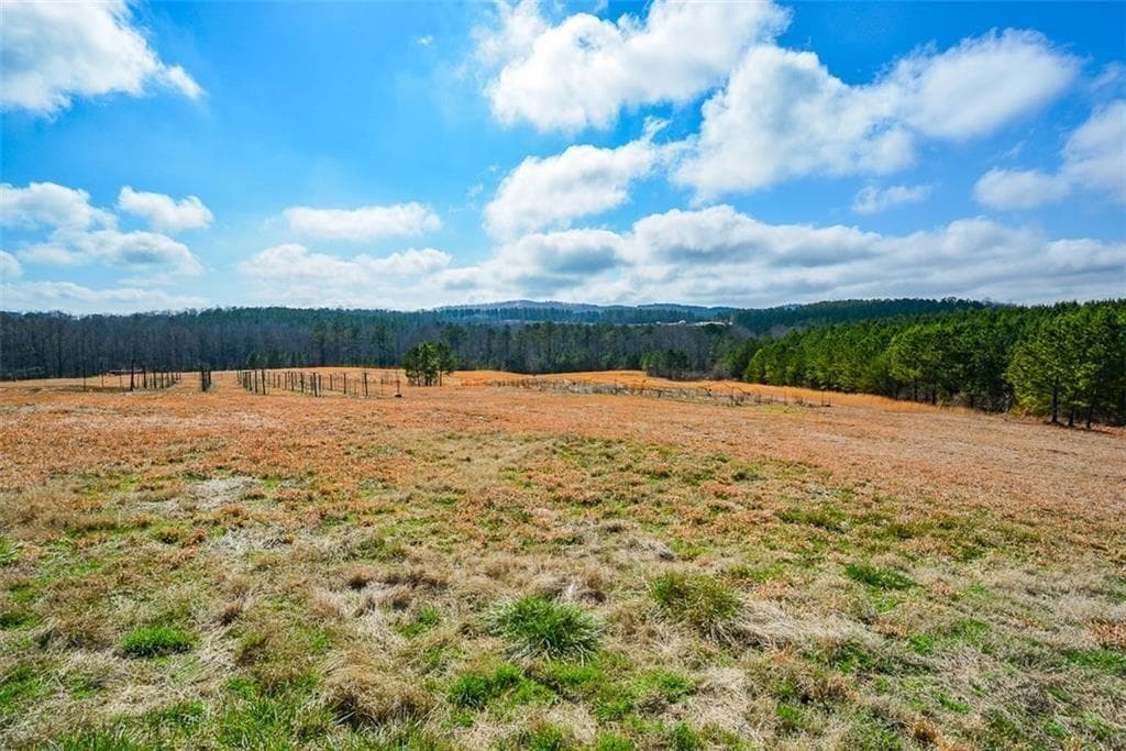 3 bathroom unimproved land for sale at 119 Inland 15 acres Drive, Talking Rock, GA 30175 — photo 4