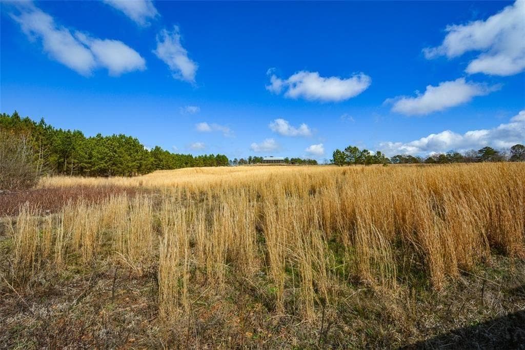 3 bathroom unimproved land for sale at 119 Inland 15 acres Drive, Talking Rock, GA 30175 — photo 8