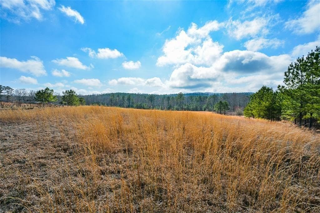 3 bathroom unimproved land for sale at 119 Inland 15 acres Drive, Talking Rock, GA 30175 — photo 10