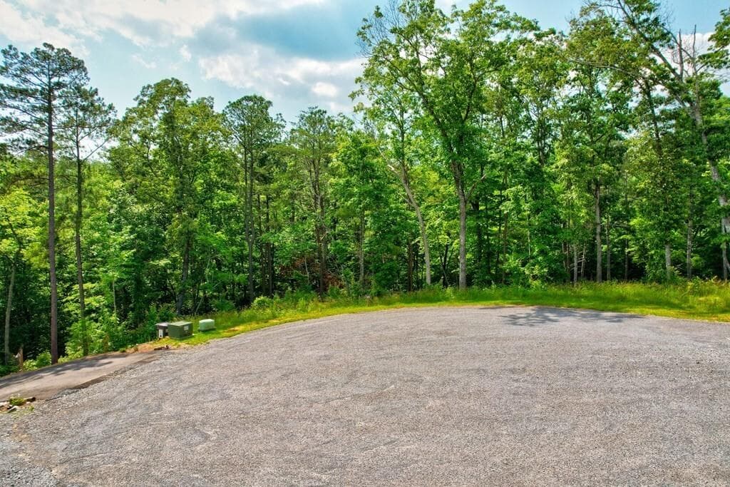 other for sale at LOT 16 Lake Top Lane, Ellijay, GA 30540 — photo 2