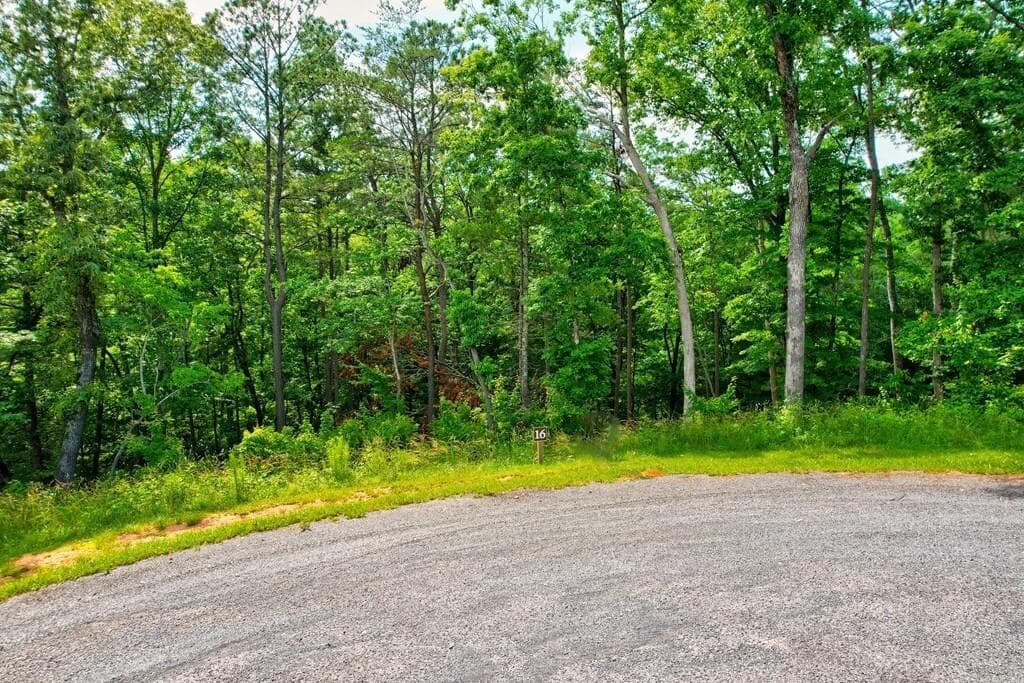 other for sale at LOT 16 Lake Top Lane, Ellijay, GA 30540 — photo 3