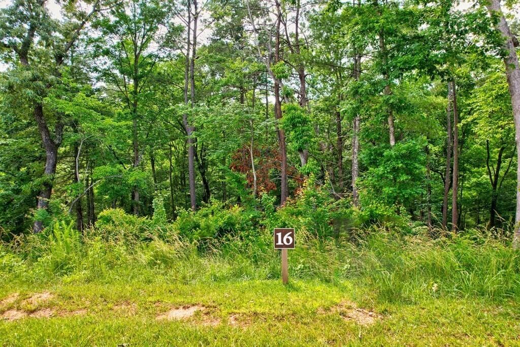 other for sale at LOT 16 Lake Top Lane, Ellijay, GA 30540 — photo 4
