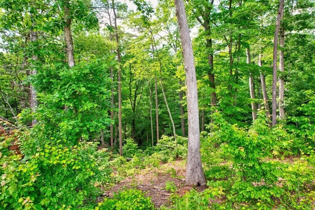 other for sale at LOT 16 Lake Top Lane, Ellijay, GA 30540 — photo 5