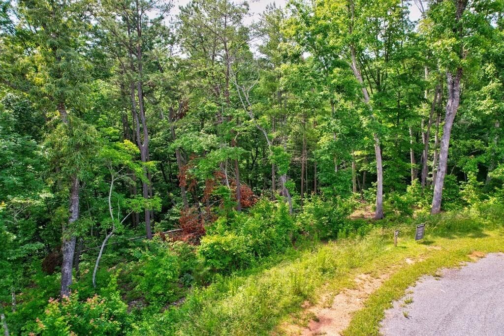 other for sale at LOT 16 Lake Top Lane, Ellijay, GA 30540 — photo 8