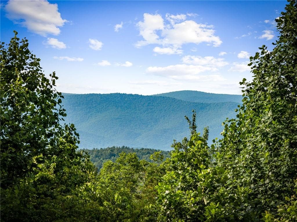 2 bedroom, 3 bathroom, 4,664 sq ft single family residence for sale at 290 Old Anderson Creek Road, Ellijay, GA 30536 — photo 3