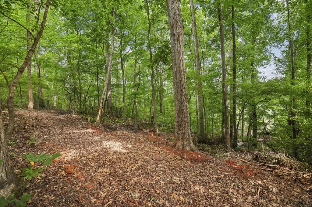 unimproved land for sale at 0 Dunraven Place, Sandy Springs, GA 30328 — photo 5