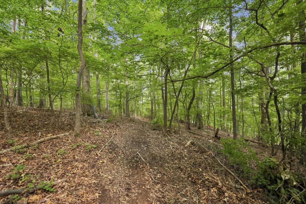 unimproved land for sale at 0 Dunraven Place, Sandy Springs, GA 30328 — photo 6