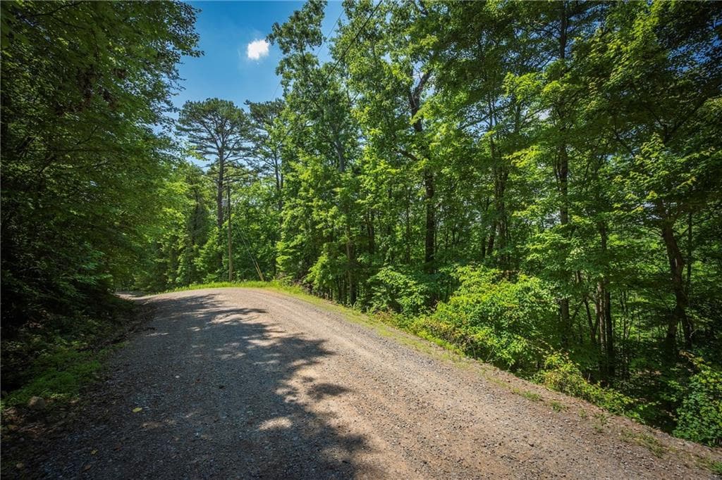 unimproved land for sale at 3.54AC Myna Drive, Ellijay, GA 30540 — photo 2