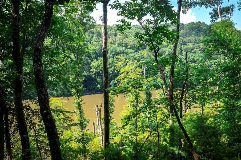unimproved land for sale at 3.54AC Myna Drive, Ellijay, GA 30540 — photo 3