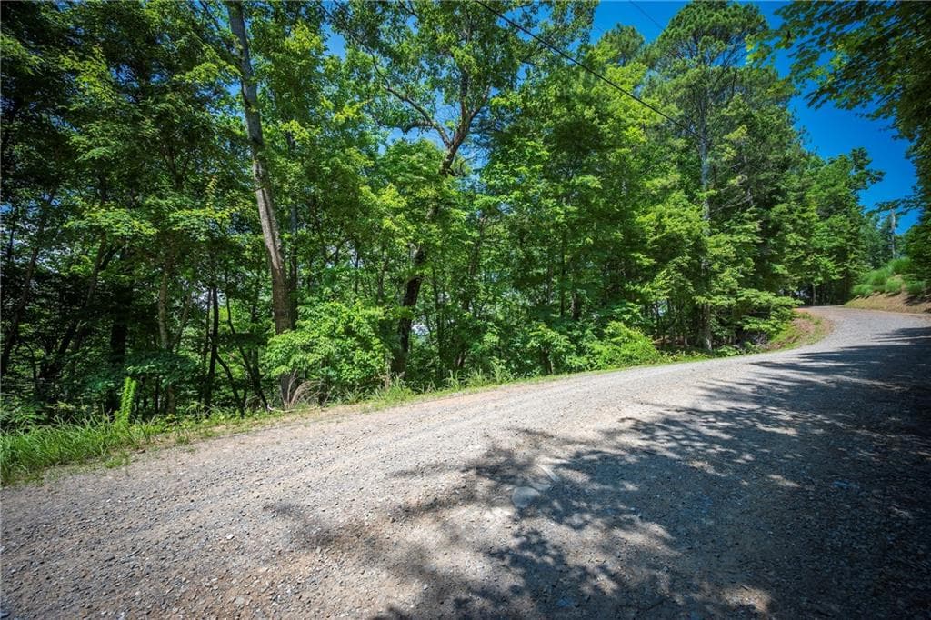 unimproved land for sale at 3.54AC Myna Drive, Ellijay, GA 30540 — photo 7