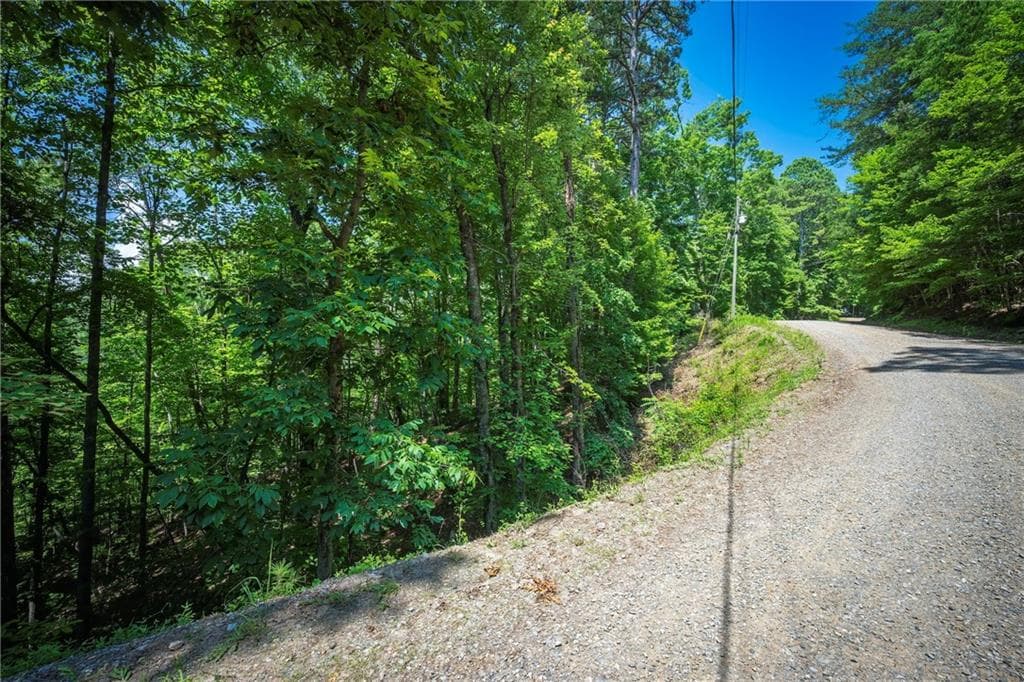 unimproved land for sale at 3.54AC Myna Drive, Ellijay, GA 30540 — photo 9
