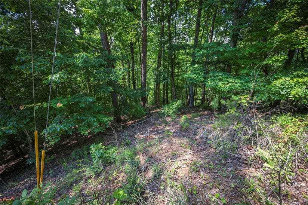 unimproved land for sale at 3.54AC Myna Drive, Ellijay, GA 30540 — photo 10