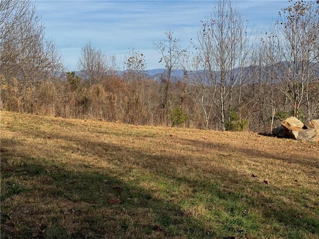 single family residence for sale at 1220 Chatuge Manor Drive, Young Harris, GA 30582 — photo 2