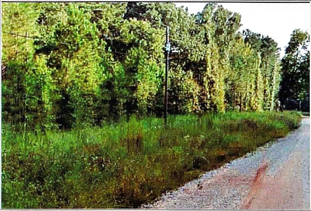 other under contract at 0 Felton Mcmichael Rd  - Landlot 090-091 Road, Monticello, GA 31064 — photo 2