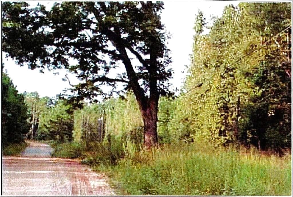 other under contract at 0 Felton Mcmichael Rd  - Landlot 090-091 Road, Monticello, GA 31064 — photo 3
