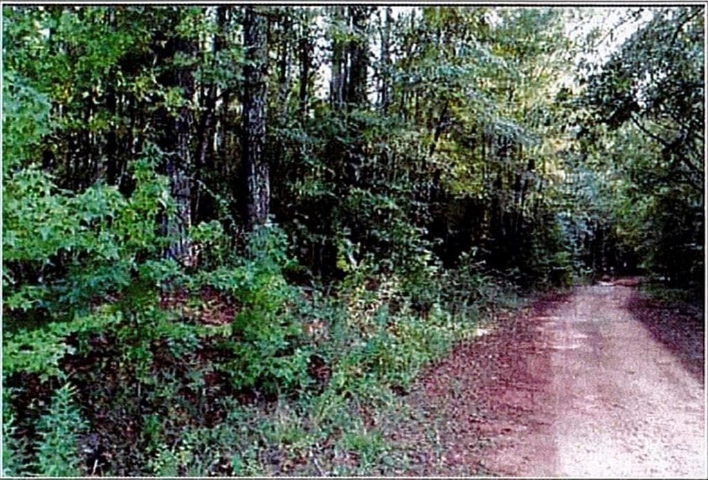 other under contract at 0 Felton Mcmichael Rd  - Landlot 090-091 Road, Monticello, GA 31064 — photo 4