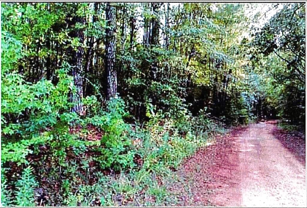 other under contract at 0 Felton Mcmichael Rd  - Landlot 090-091 Road, Monticello, GA 31064 — photo 5