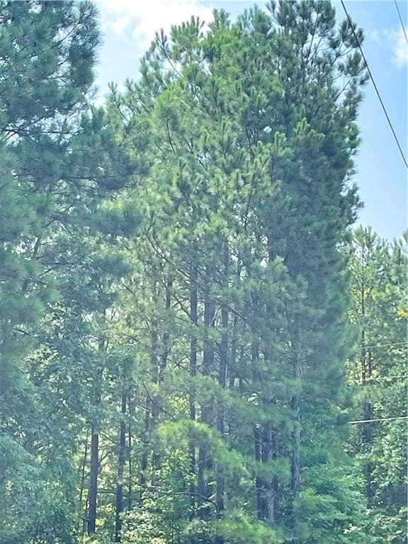 other under contract at 0 Felton Mcmichael Rd  - Landlot 090-091 Road, Monticello, GA 31064 — photo 6