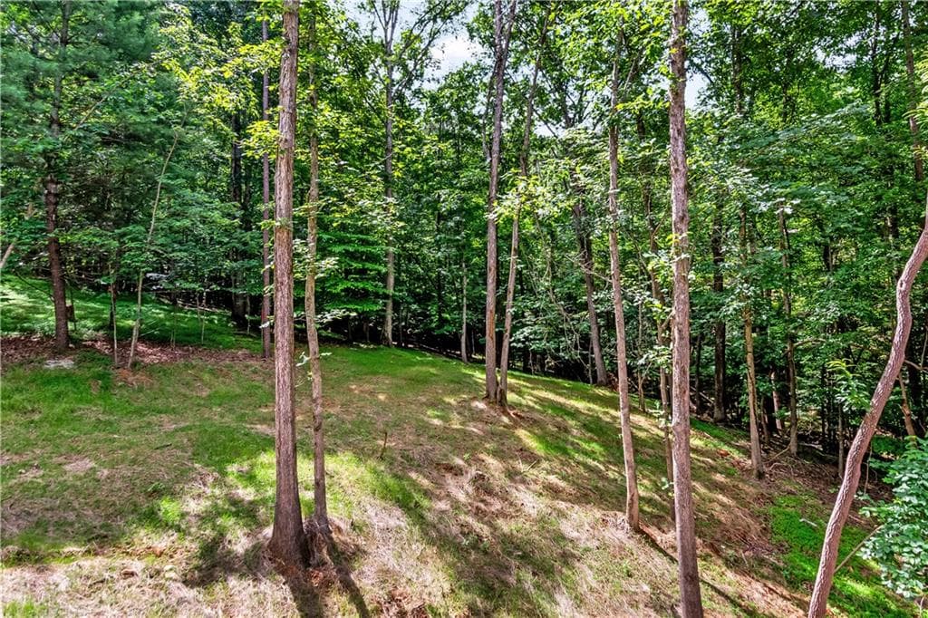 3 bedroom, 2 bathroom, 1,248 sq ft single family residence under contract at 209 Pinecrest Court, Ellijay, GA 30540 — photo 7