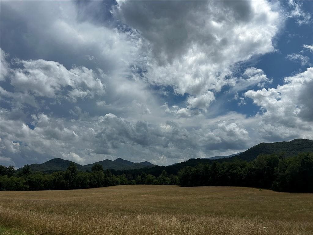 2 bedroom, 2 bathroom, 1,376 sq ft single family residence for sale at 670 Ruby Lake Drive, Hiawassee, GA 30546 — photo 4