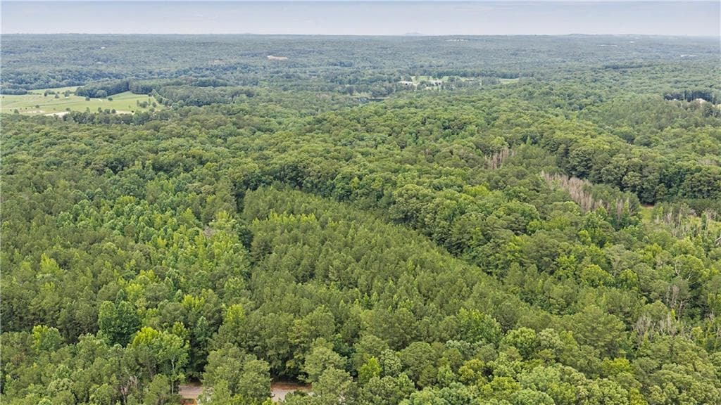 single family residence for sale at 0 Cedar Grove Road, Chattahoochee Hills, GA 30268 — photo 5