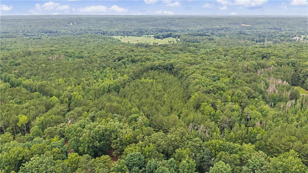 single family residence for sale at 0 Cedar Grove Road, Chattahoochee Hills, GA 30268 — photo 7