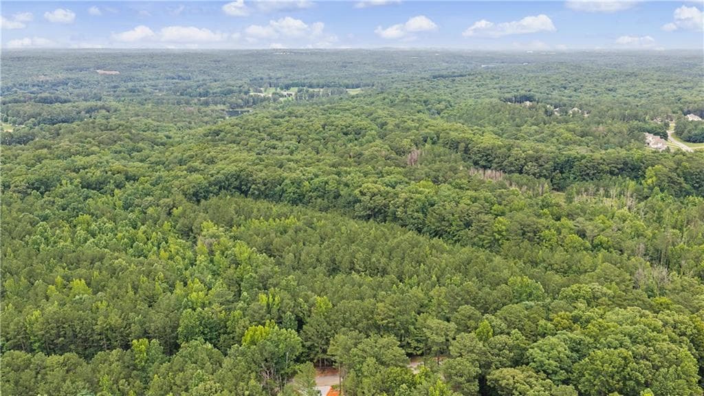 single family residence for sale at 0 Cedar Grove Road, Chattahoochee Hills, GA 30268 — photo 8