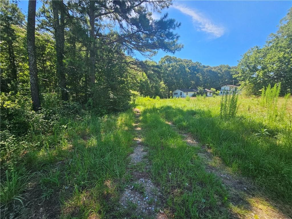 unimproved land for sale at 2539 Locust Grove Road, Griffin, GA 30223 — photo 3