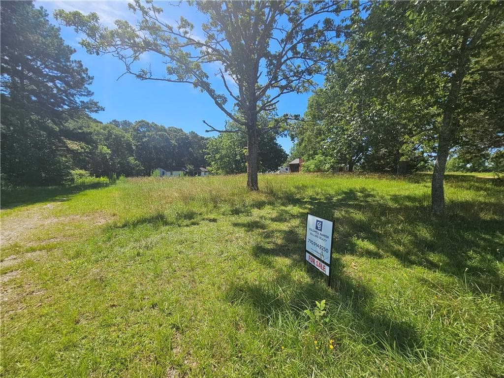 unimproved land for sale at 2539 Locust Grove Road, Griffin, GA 30223 — photo 4