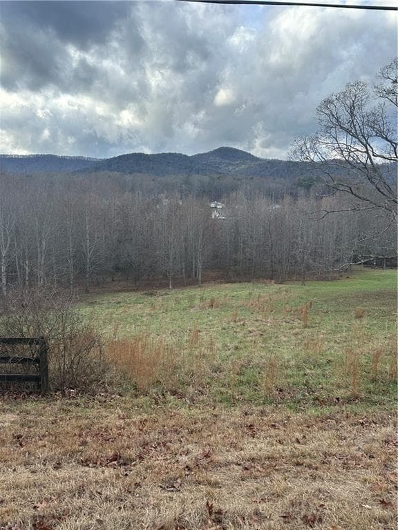 unimproved land for sale at 0 Hwy 75 Alt Ga, Cleveland, GA 30528 — photo 1 of 5