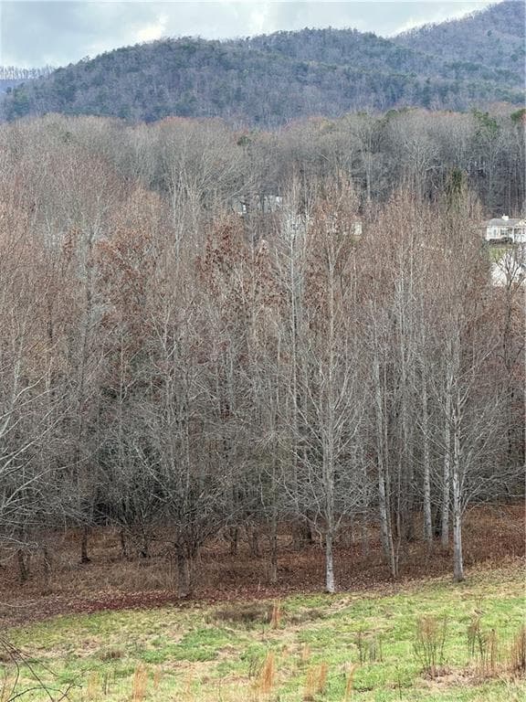unimproved land for sale at 0 Hwy 75 Alt Ga, Cleveland, GA 30528 — photo 2