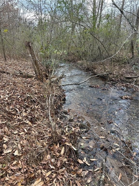 unimproved land for sale at 0 Hwy 75 Alt Ga, Cleveland, GA 30528 — photo 3