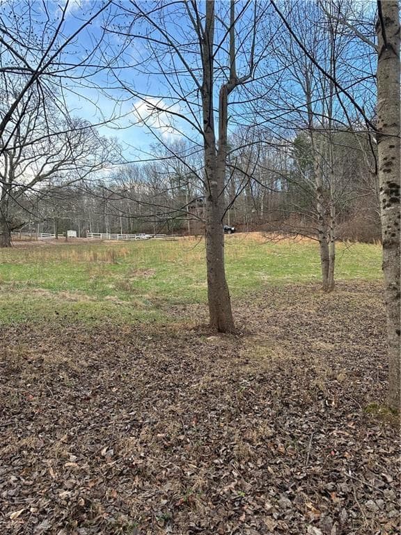 unimproved land for sale at 0 Hwy 75 Alt Ga, Cleveland, GA 30528 — photo 4