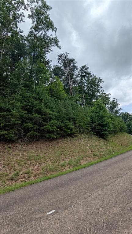 single family residence for sale at 232 Stone Cliff Drive, Ellijay, GA 30536 — photo 2