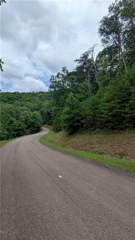 single family residence for sale at 232 Stone Cliff Drive, Ellijay, GA 30536 — photo 3
