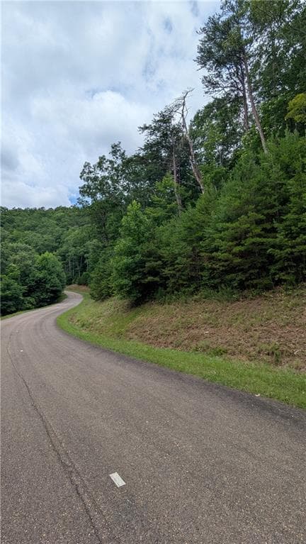 single family residence for sale at 232 Stone Cliff Drive, Ellijay, GA 30536 — photo 6
