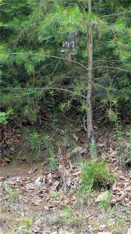 single family residence for sale at 232 Stone Cliff Drive, Ellijay, GA 30536 — photo 7