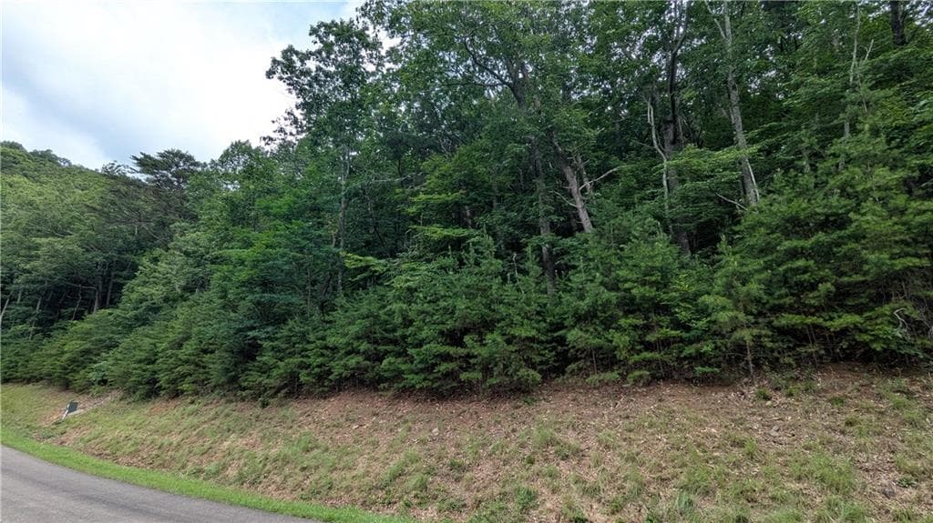 single family residence for sale at 232 Stone Cliff Drive, Ellijay, GA 30536 — photo 8
