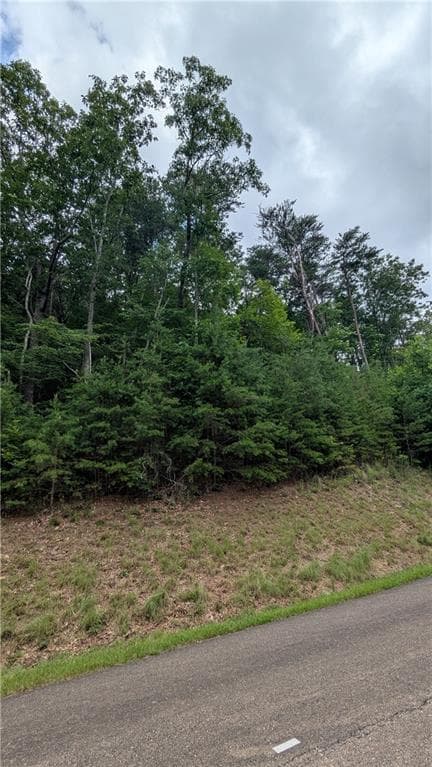 single family residence for sale at 232 Stone Cliff Drive, Ellijay, GA 30536 — photo 9