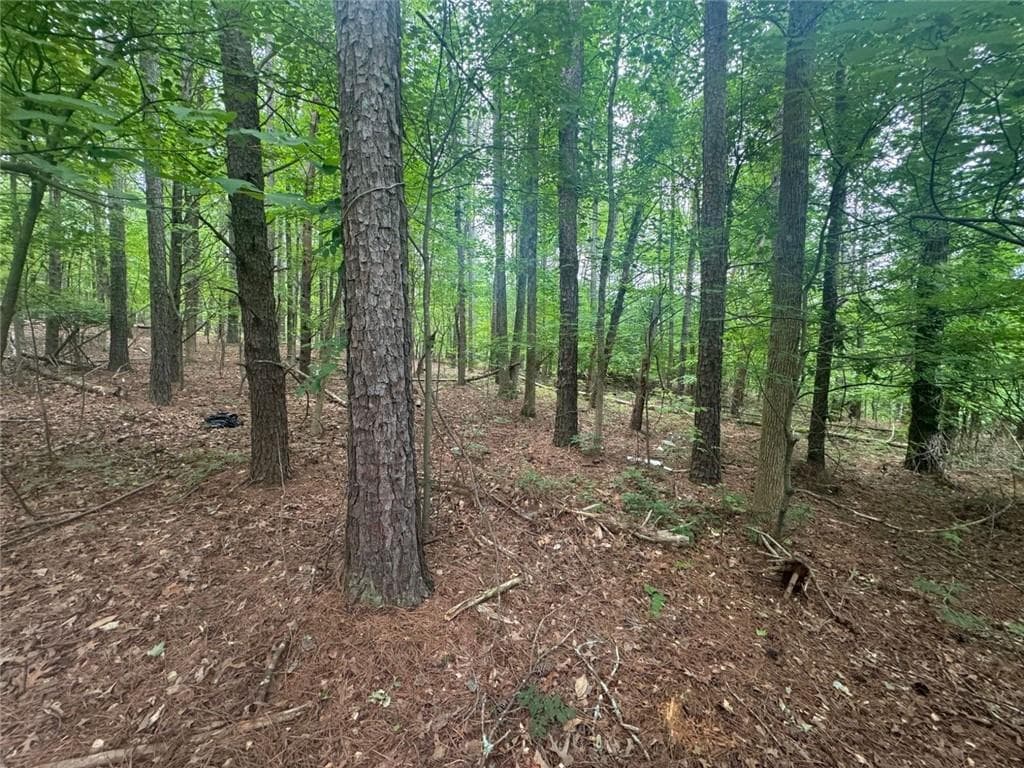 2 bedroom, 1 bathroom single family residence for sale at 1460 Sam Nelson Road, Canton, GA 30114 — photo 6