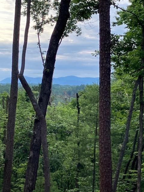 unimproved land for sale at Lt 132 Red Oak Trail, Ellijay, GA 30540 — photo 1 of 4