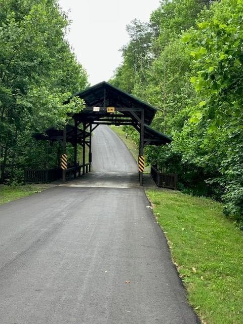 unimproved land for sale at Lt 132 Red Oak Trail, Ellijay, GA 30540 — photo 2