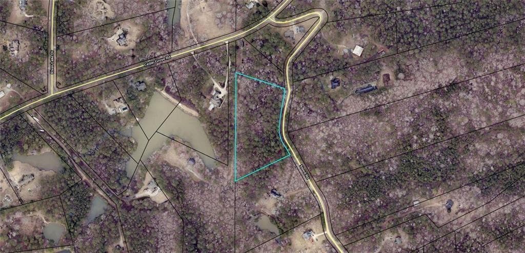 unimproved land for sale at 0 Steed Road, Chattahoochee Hills, GA 30213 — photo 2