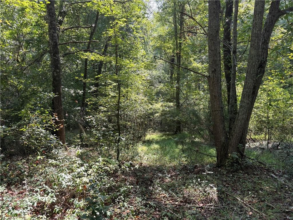 4 bedroom, 2 bathroom single family residence for sale at 6485 Forsyth Drive, Cumming, GA 30028 — photo 4