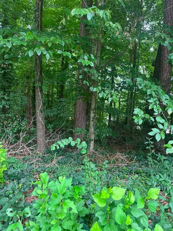 single family residence for sale at 721 Aberdeen Drive, Stone Mountain, GA 30083 — photo 6