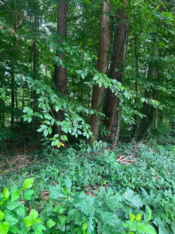 single family residence for sale at 721 Aberdeen Drive, Stone Mountain, GA 30083 — photo 8