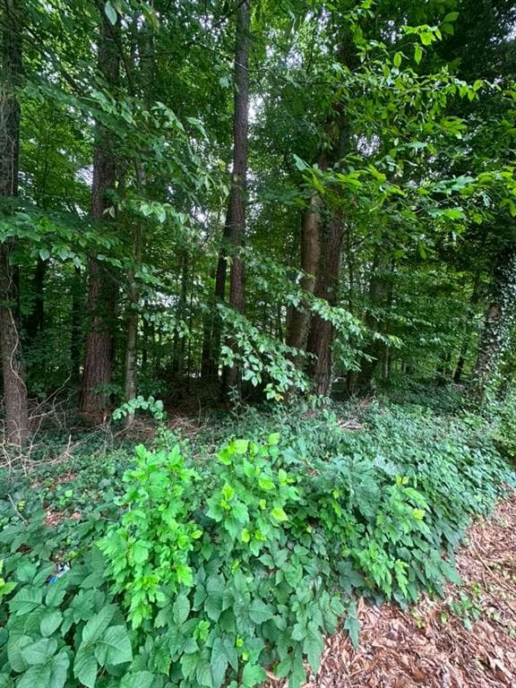 single family residence for sale at 721 Aberdeen Drive, Stone Mountain, GA 30083 — photo 9